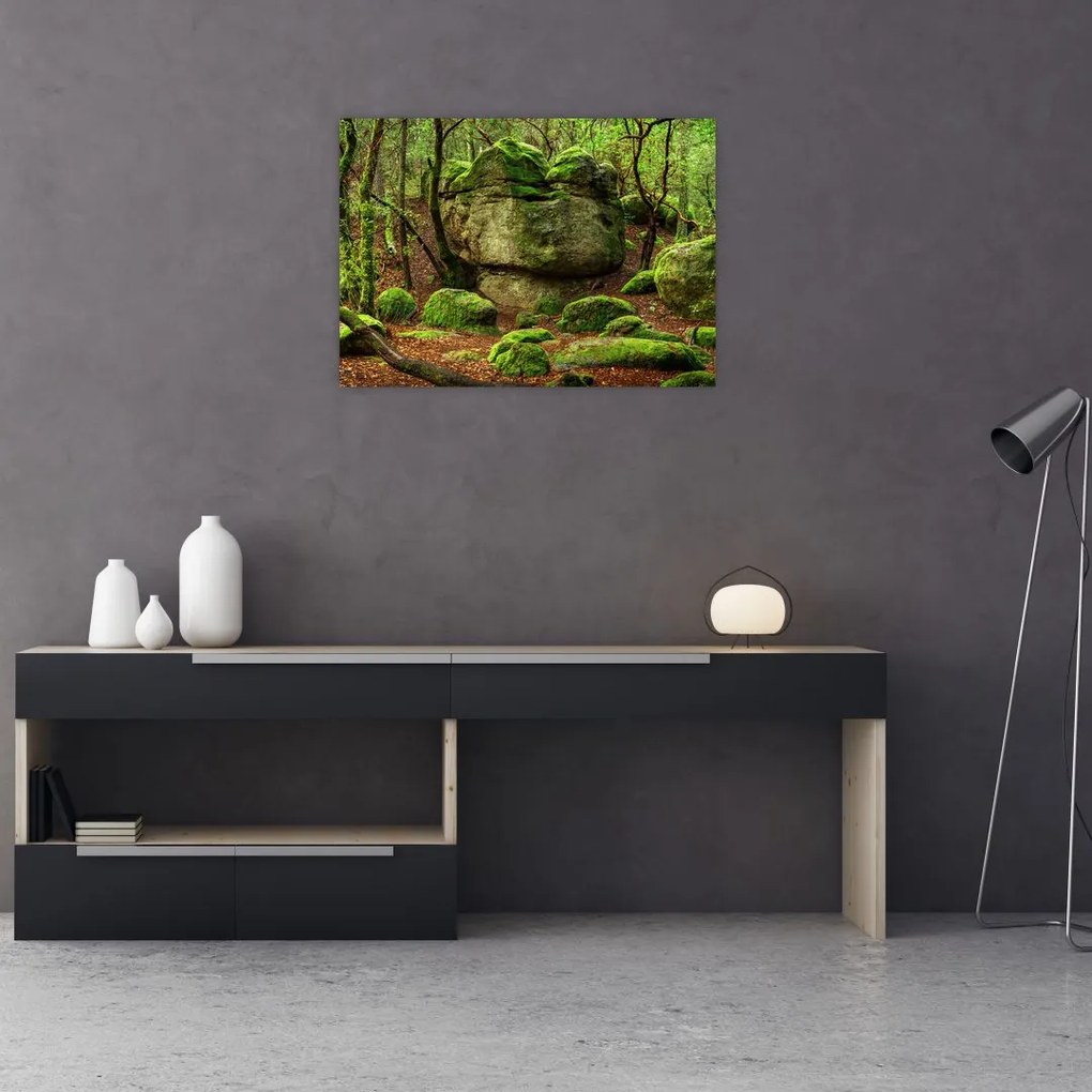 Obraz magicznego lasu (70x50 cm)
