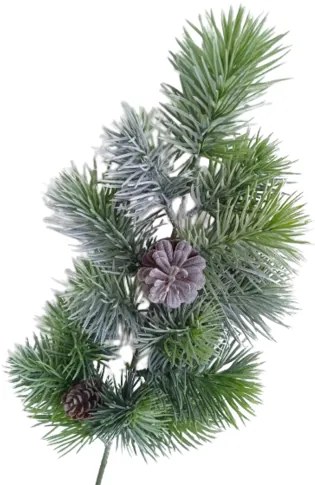 Gałąź sosnowa, 59 cm