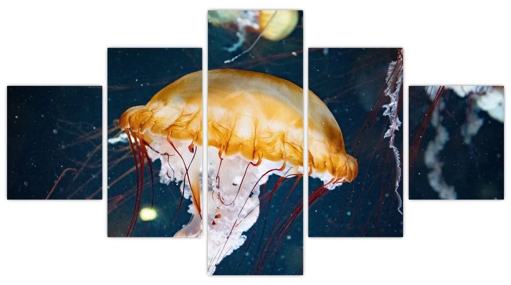 Obraz meduzy (125x70 cm)