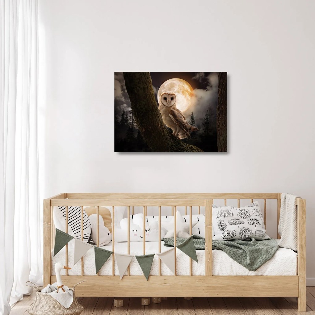 Obraz na szkle sowy palonej (70x50 cm)