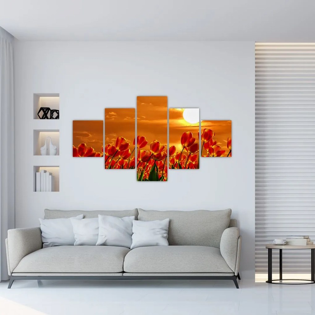 Obraz kwitnącego pola z tulipanami (125x70 cm)