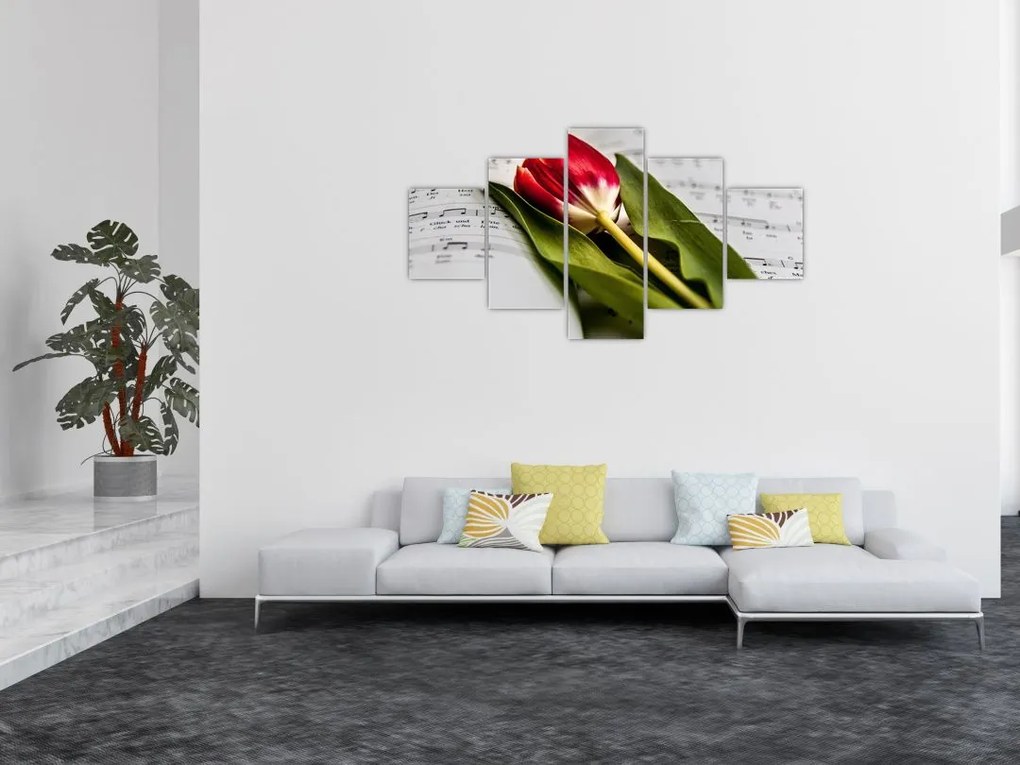 Obraz czerwonego tulipana (125x70 cm)