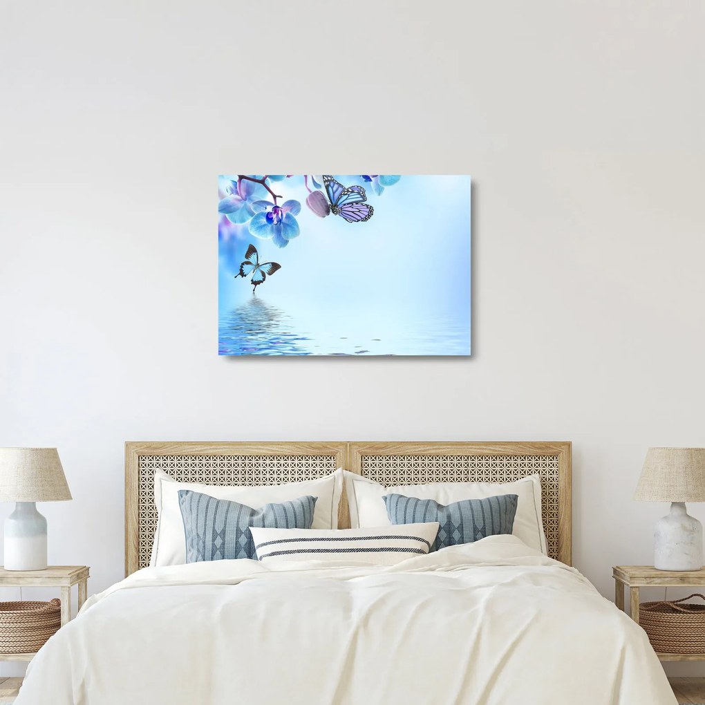 Obraz na szkle - Motyl na kwiatach orchidei, niebieski (70x50 cm)