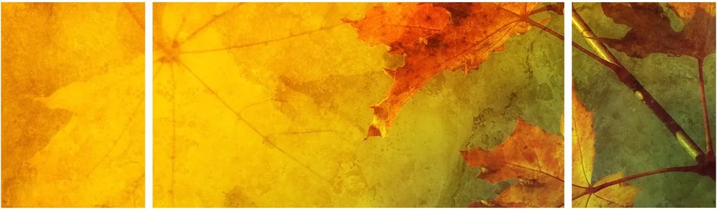 Obraz - Jesienne liście (170x50 cm)