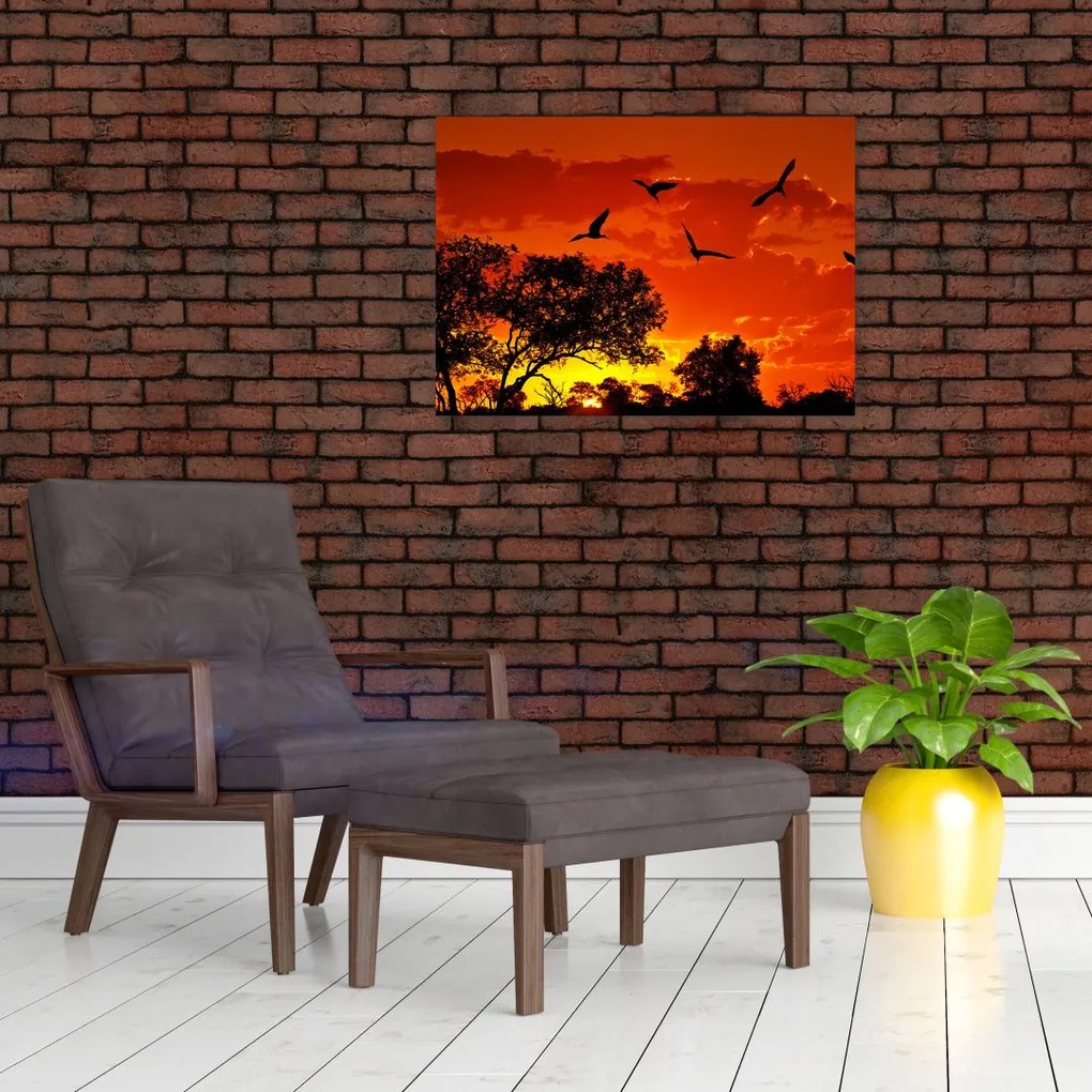Obraz na szkle ptaków o zachodzie słońca (70x50 cm)
