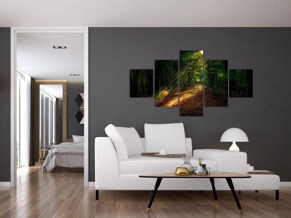 Obraz leśnej ścieżki (125x70 cm)