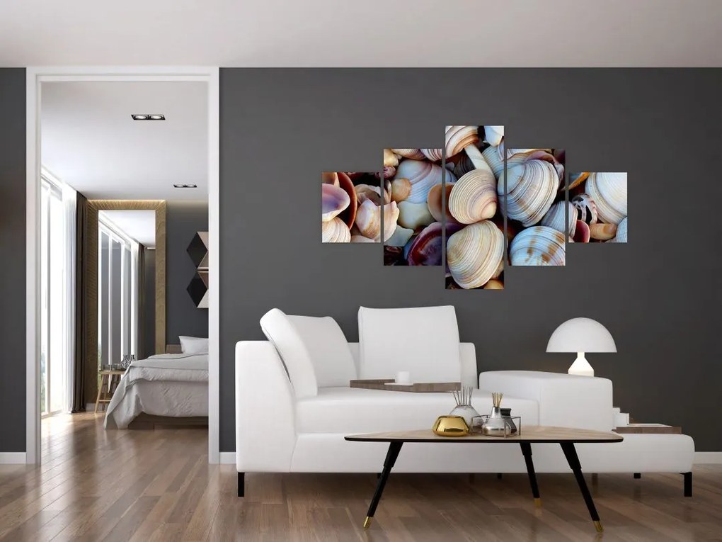 Obraz muszelek (125x70 cm)