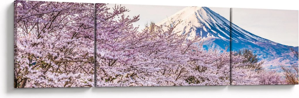 Obraz - Japonia wiosną (170x50 cm)