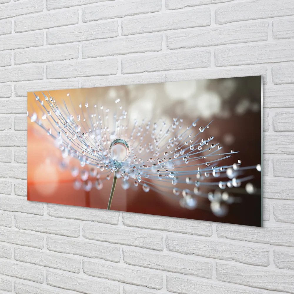 Panel nad Blat Kuchenny Dmuchawiec w Kroplach Rosy