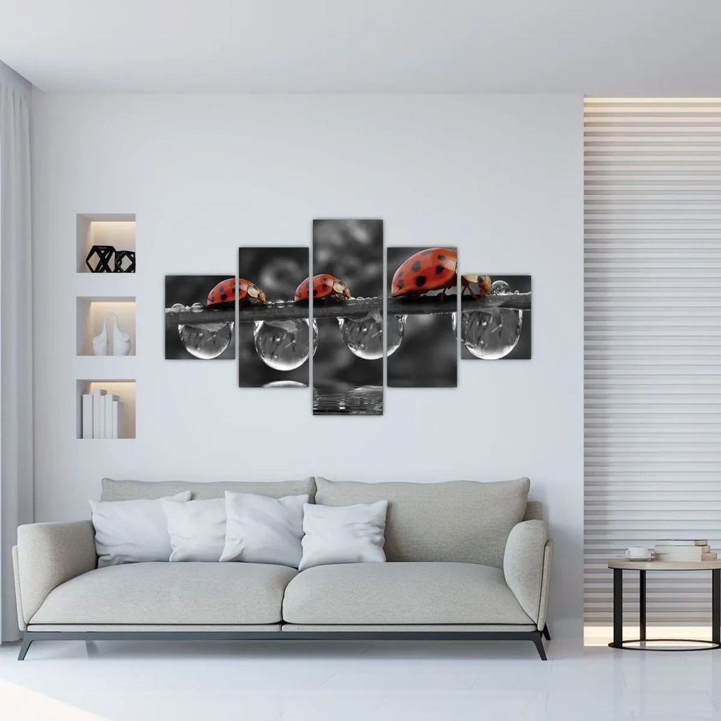 Obraz - Słonecznik, czarno-biały (125x70 cm)