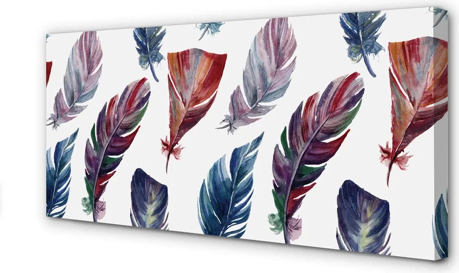Obraz na płótnie Feeria Kolorowych Piór