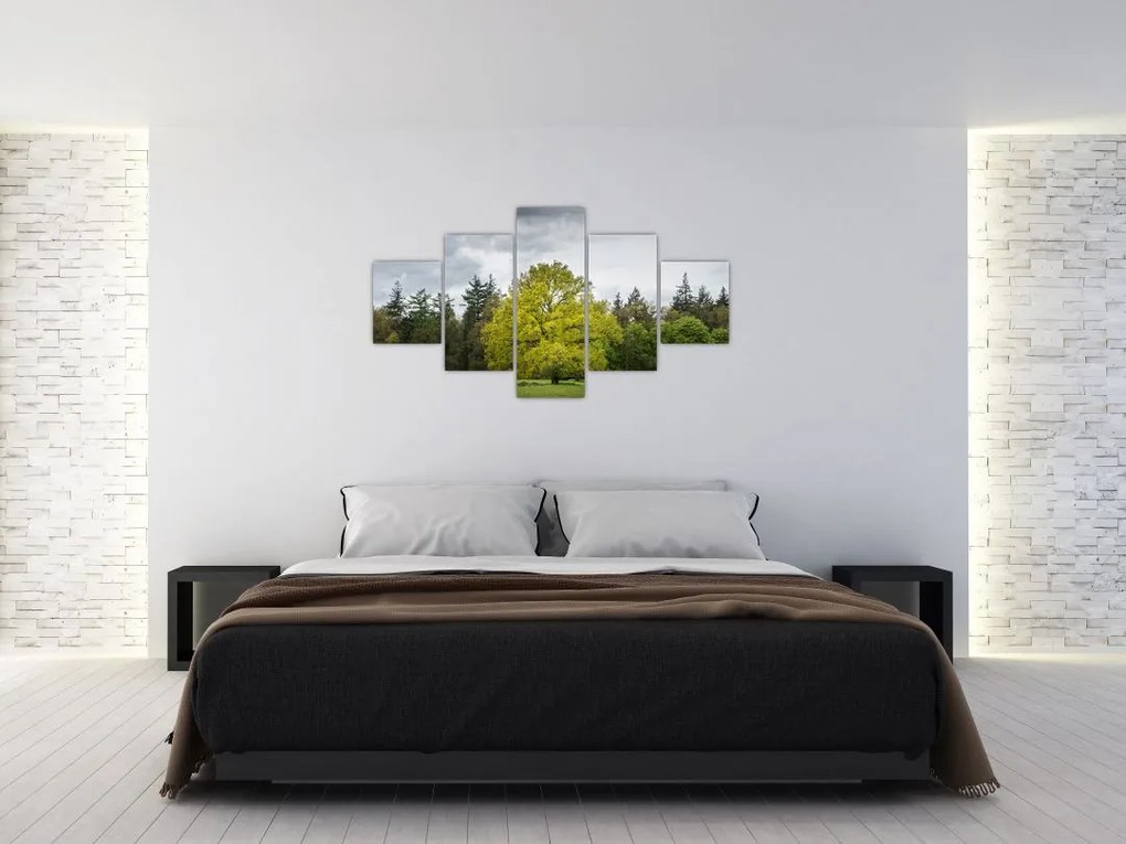 Obraz zielonego drzewa na środku pola (125x70 cm)
