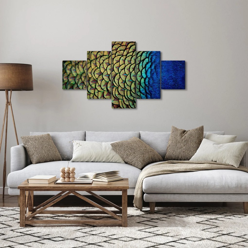Obraz - Pawie pióra (125x70 cm)