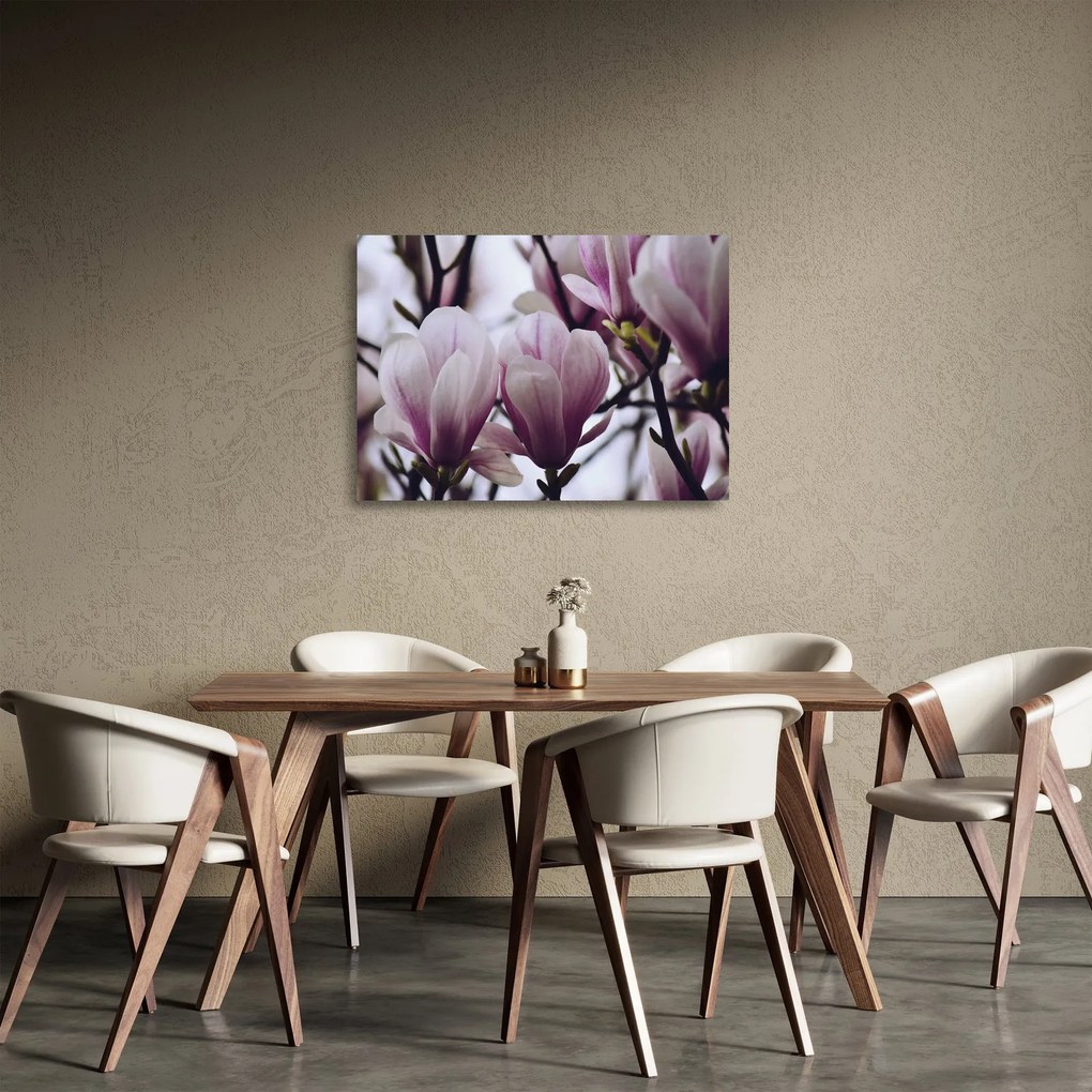 Obraz na szkle - Magnolia (70x50 cm)