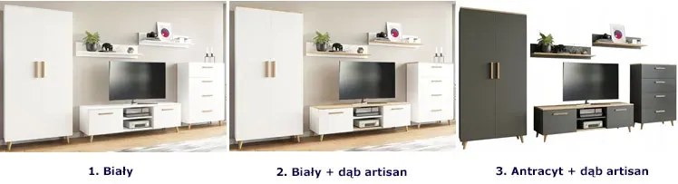 Nowoczesna meblościanka biały + dąb artisan D5-G63