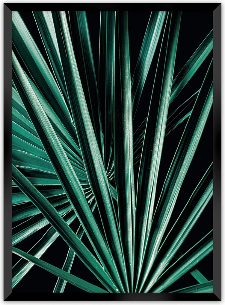 Plakat Dark Palm Tree