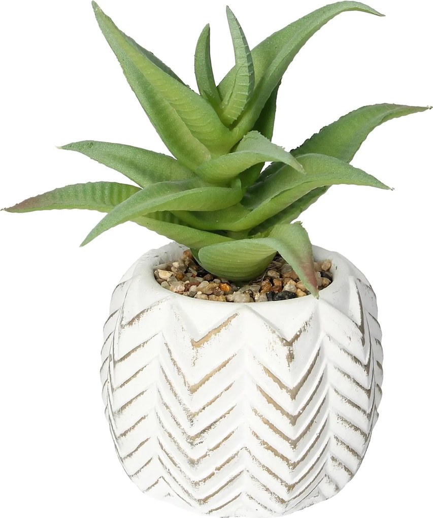 Dekoracja Aloes I 14cm
