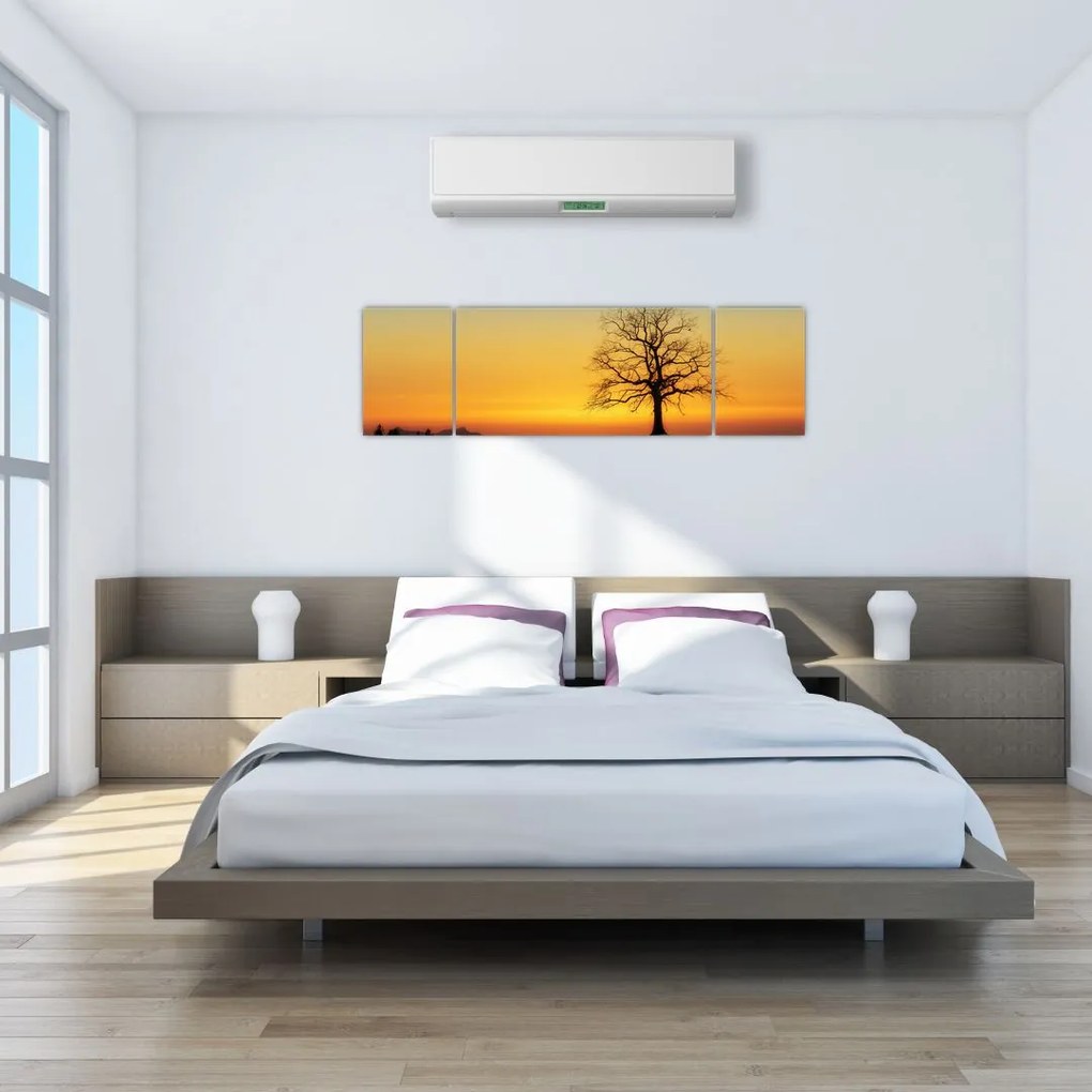 Obraz drzewa na polu (170x50 cm)