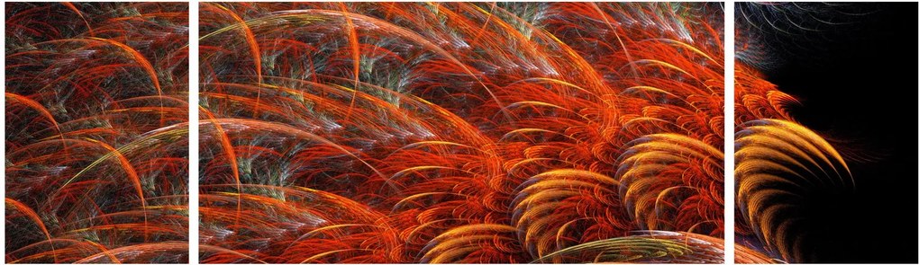Obraz - Abstrakcyjna imitacja piór (170x50 cm)