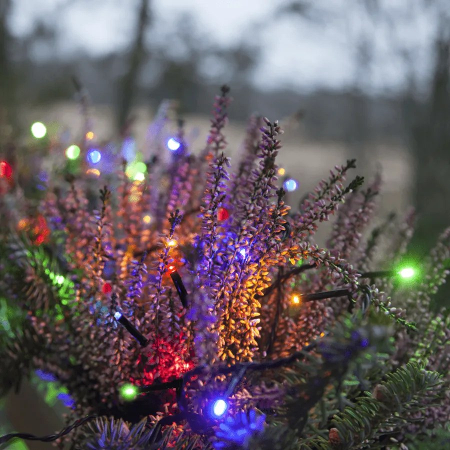 Multikolorowe lampki choinkowe LED