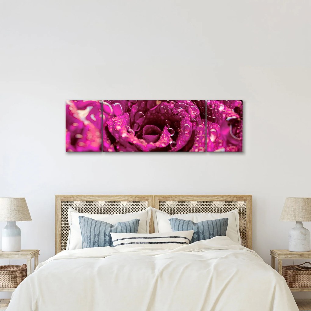 Obraz różowego kwiatu róży (170x50 cm)