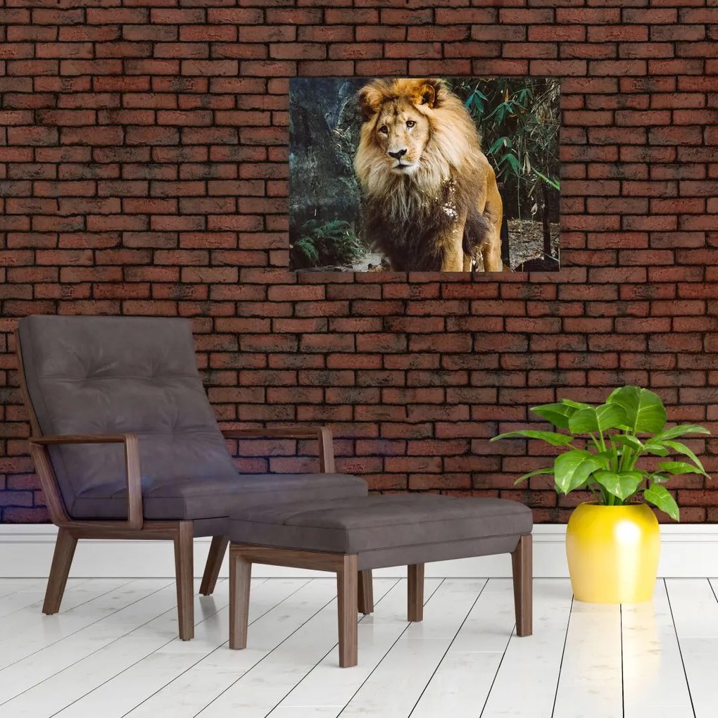 Obraz na szkle - lew w naturze (70x50 cm)