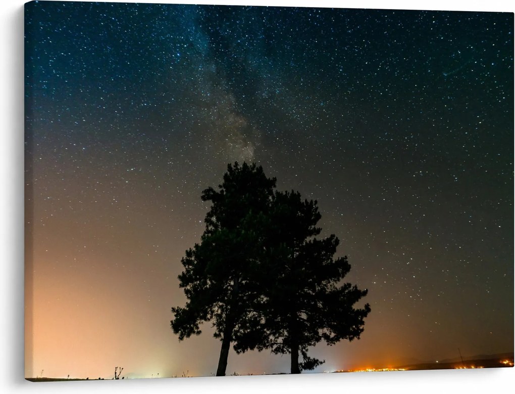 Obraz nocnego nieba z drzewami (70x50 cm)