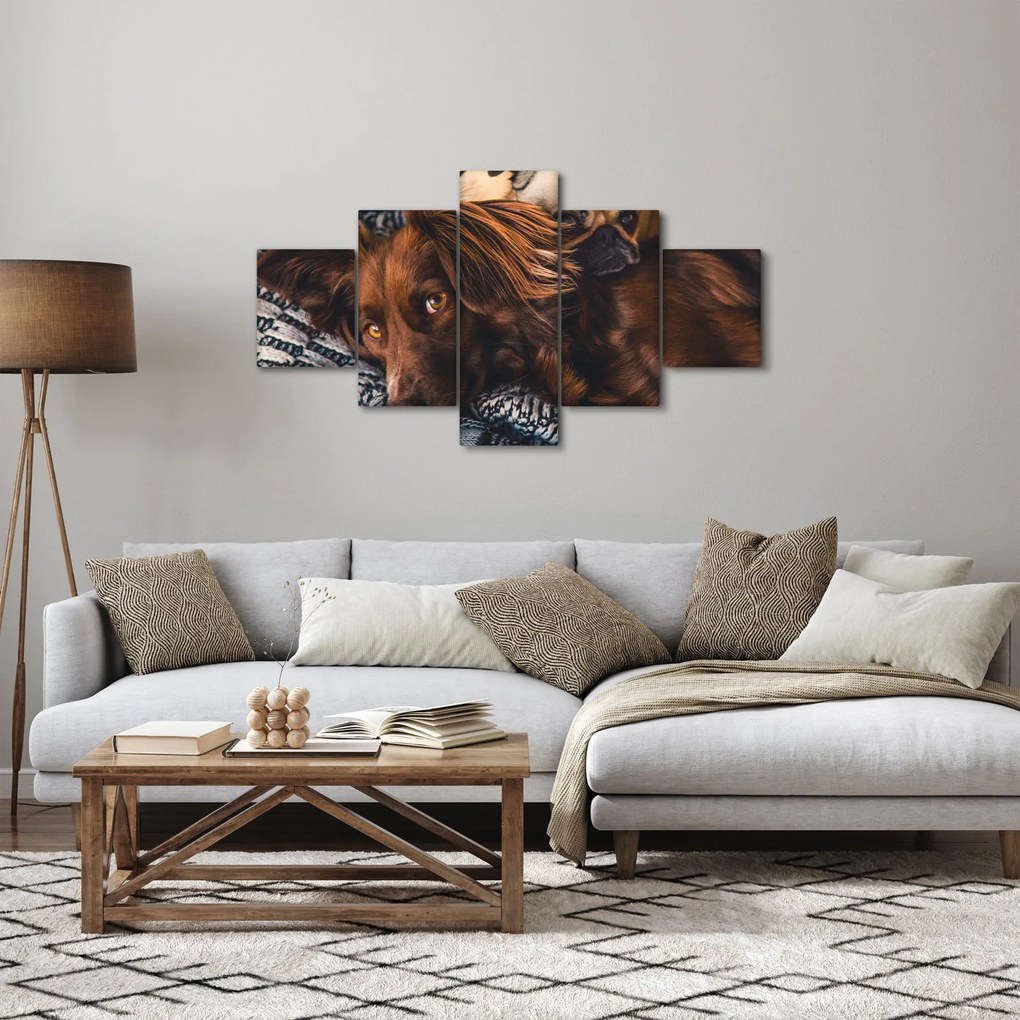 Obraz leżących psów (125x70 cm)