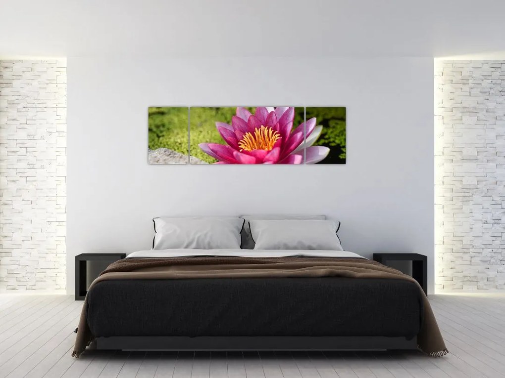 Obraz - Lilia wodna (170x50 cm)