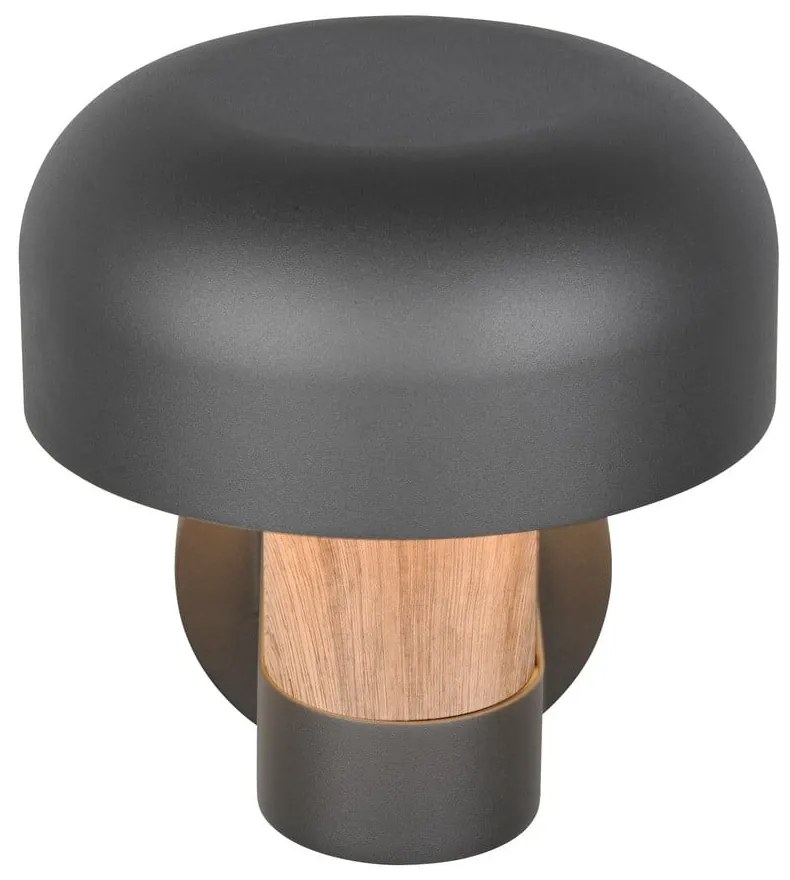 Zewnętrzna lampa ścienna (wysokość 24,5 cm) Fraser – Trio