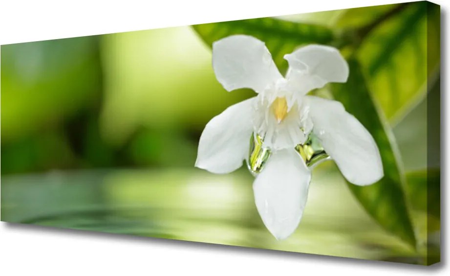 Zdjęcie na płótnie Duet Kwiatu i Zieleni