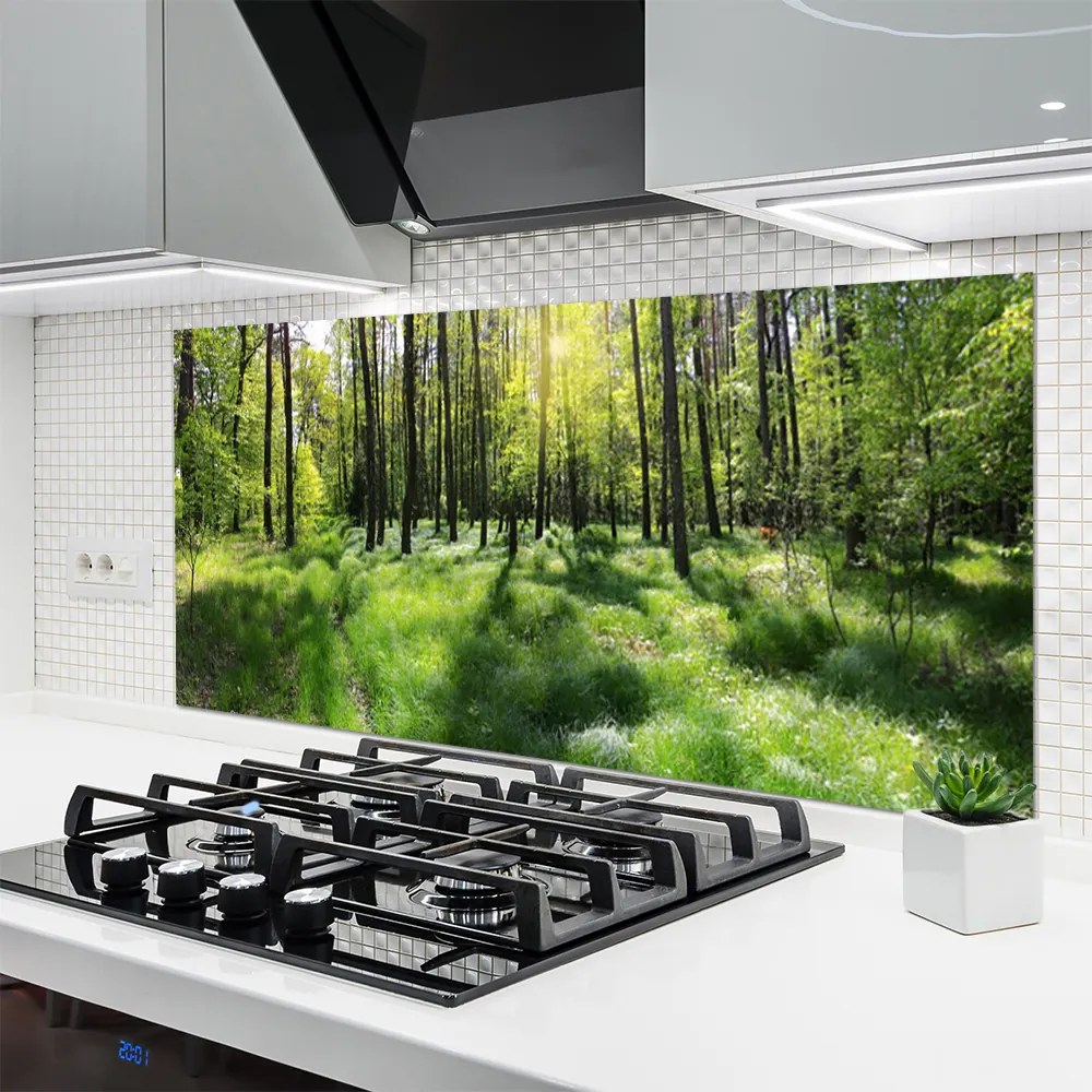 Panel Szklany Leśna Ścieżka wśród Traw