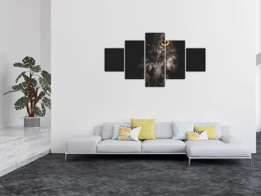 Obraz sowy (125x70 cm)