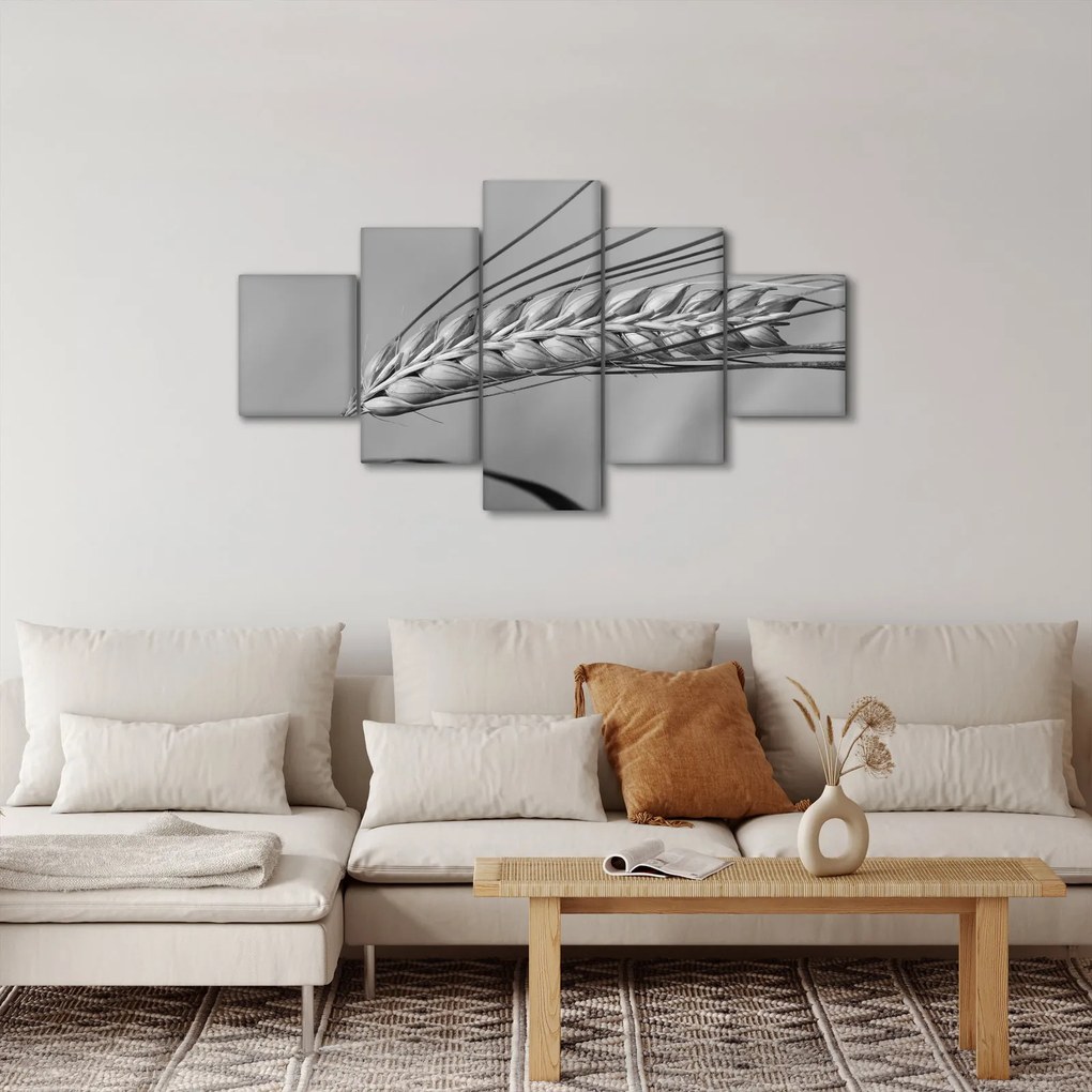 Obraz - Pszenica, czarno - biały (125x70 cm)