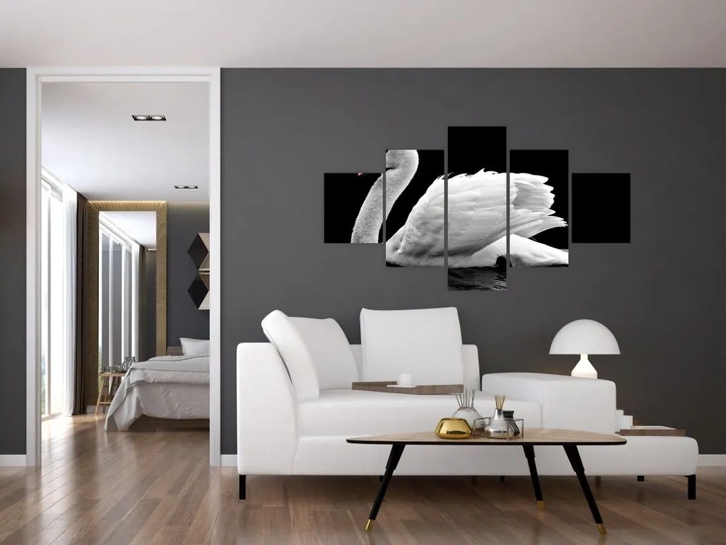 Obraz czarno - białego łabędzia (125x70 cm)