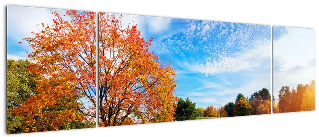 Obraz - Jesienny krajobraz (170x50 cm)