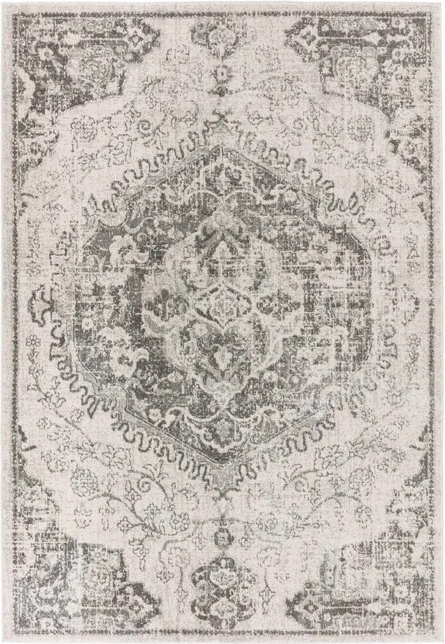 Szary/kremowy dywan 120x170 cm Nova – Asiatic Carpets