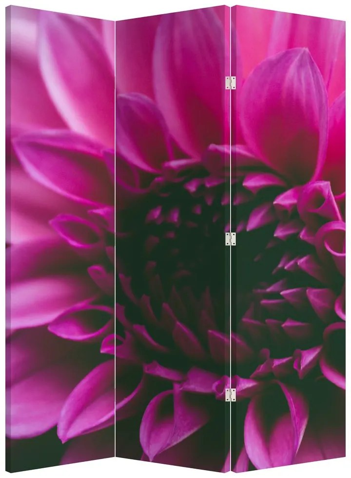 Parawan - Różowy kwiat (126x170 cm)