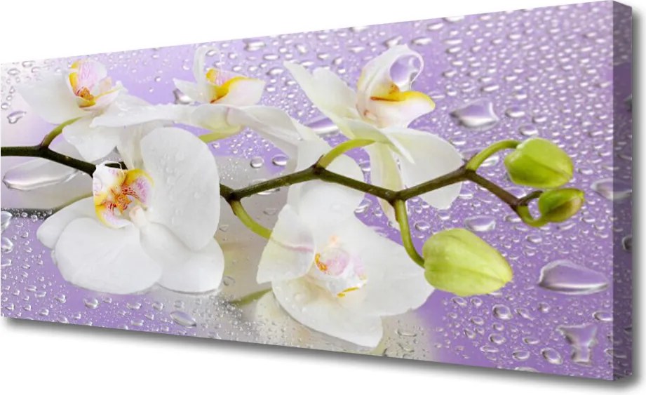 Obraz canvas Pełnia Kwiatowego Rozkwitu