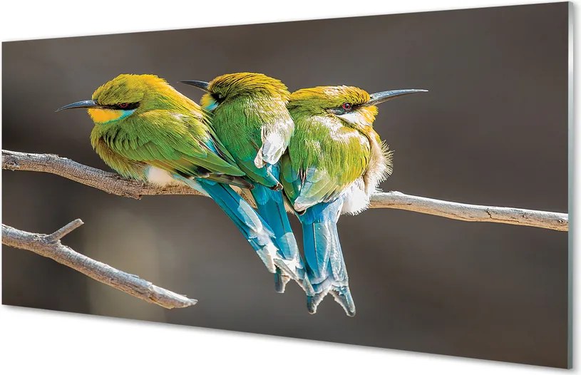 Szkło do Kuchni na Ścianę Ptasie Zgromadzenie na Drzewie