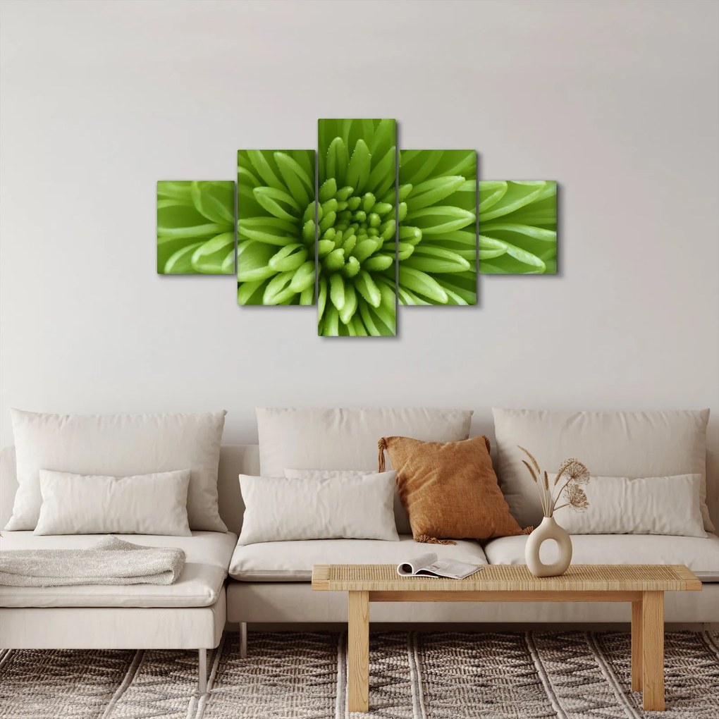 Obraz - Obraz rośliny w trybie makro (125x70 cm)