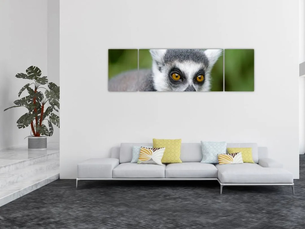 Obraz lemura (170x50 cm)