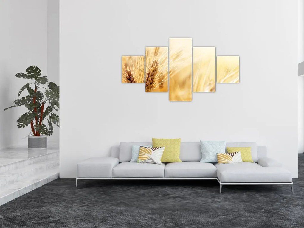 Obraz - szczegóły ziarna (125x70 cm)
