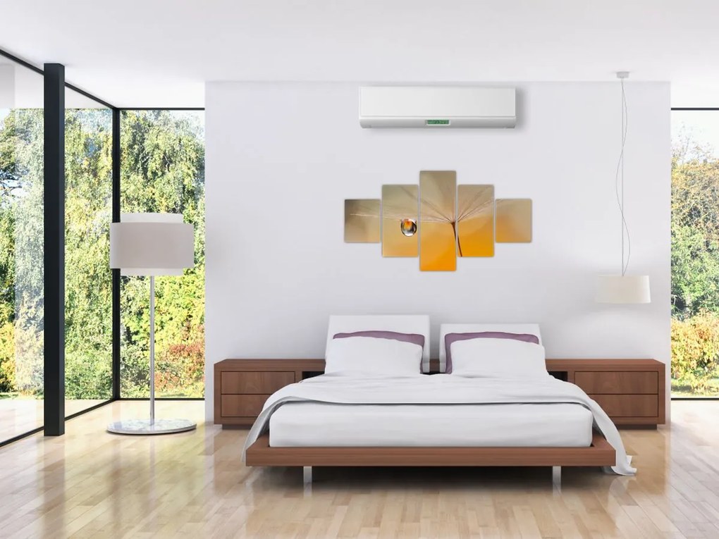 Obraz - Makro kwiat (125x70 cm)