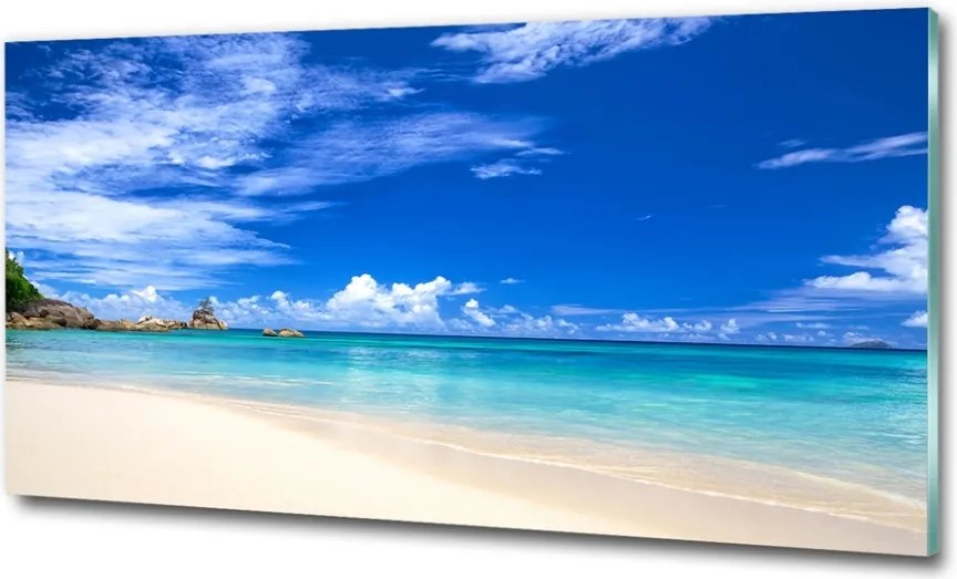 Foto obraz szklany Tropikalna plaża