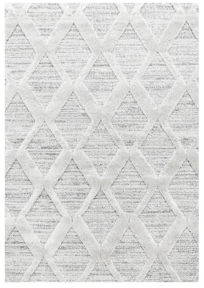 Jasnoszary dywan 160x230 cm Pisa – Ayyildiz Carpets