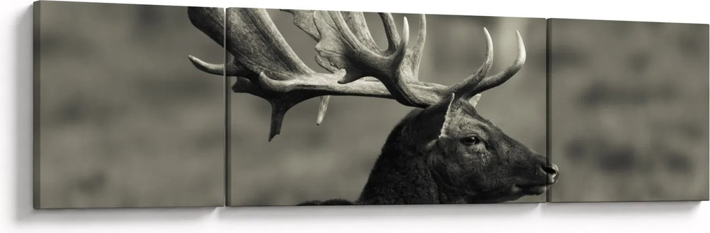 Obraz - Jeleń (170x50 cm)