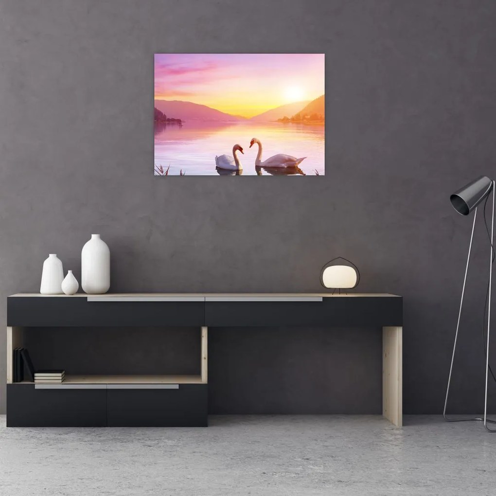 Obraz na szkle zakochanych łabędzi (70x50 cm)