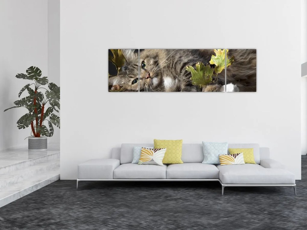 Obraz - Leżący kot (170x50 cm)