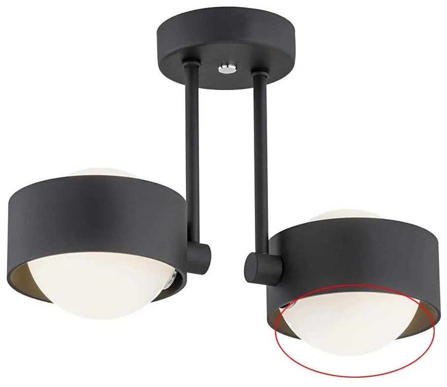 Argon - Zapasowe szkło do żyrandola MASSIMO PLUS G9